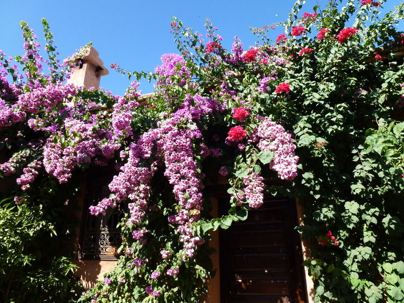 Auberge Chez Momo II Ouirgane Exterior photo